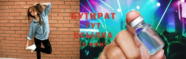 МДПВ Пересвет