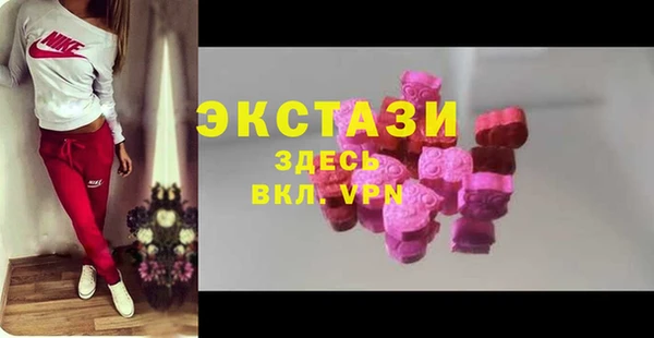 МДПВ Пересвет