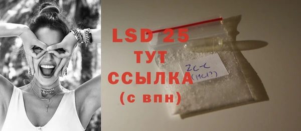 МДПВ Пересвет