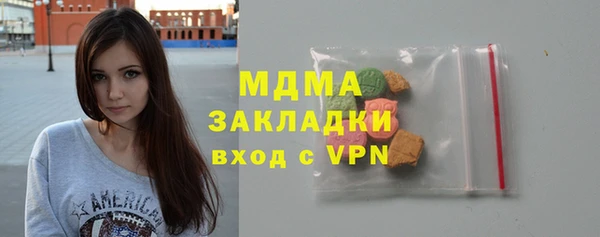 МДПВ Пересвет
