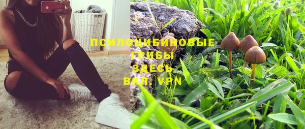 MESCALINE Покачи