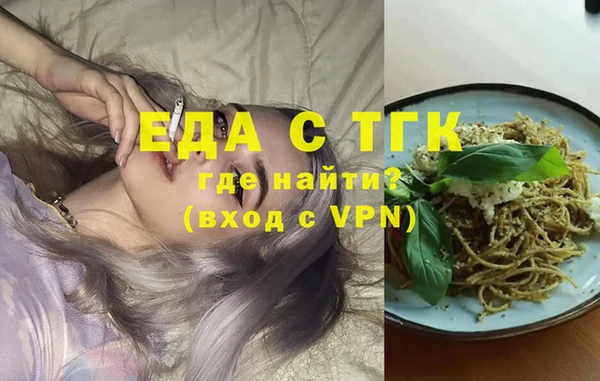 МДПВ Пересвет