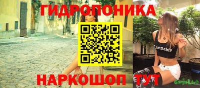 стафф Аргун