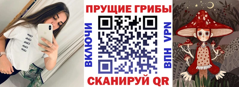Галлюциногенные грибы мицелий  Балабаново 