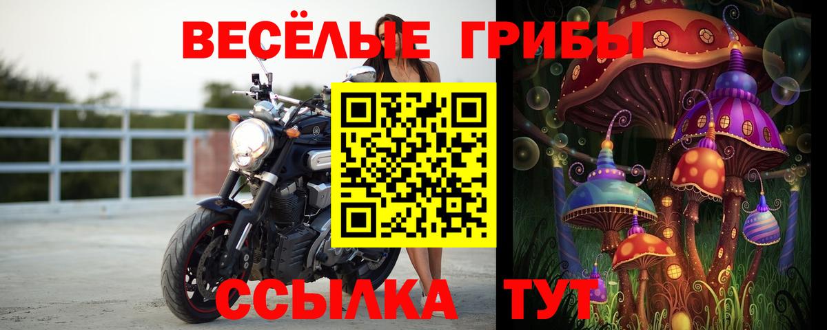 купить закладку  Галлюциногенные грибы Cubensis  Вход с VPN  Псилоцибиновые грибы Psilocybine cubensis  Балабаново 