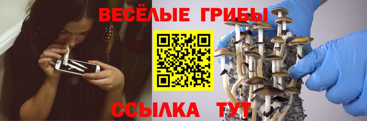 Псилоцибиновые грибы MAGIC MUSHROOMS Балабаново